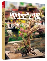 玩轉(zhuǎn)空氣鳳梨