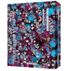 埃琳娜·曼費(fèi)迪尼作品解析