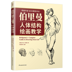 伯里曼人體結(jié)構(gòu)繪畫教學(xué)