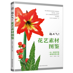 超人氣！花藝素材圖鑒