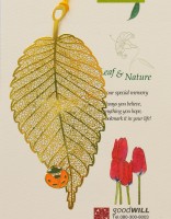 LC-31田園之金葉黃瓢蟲