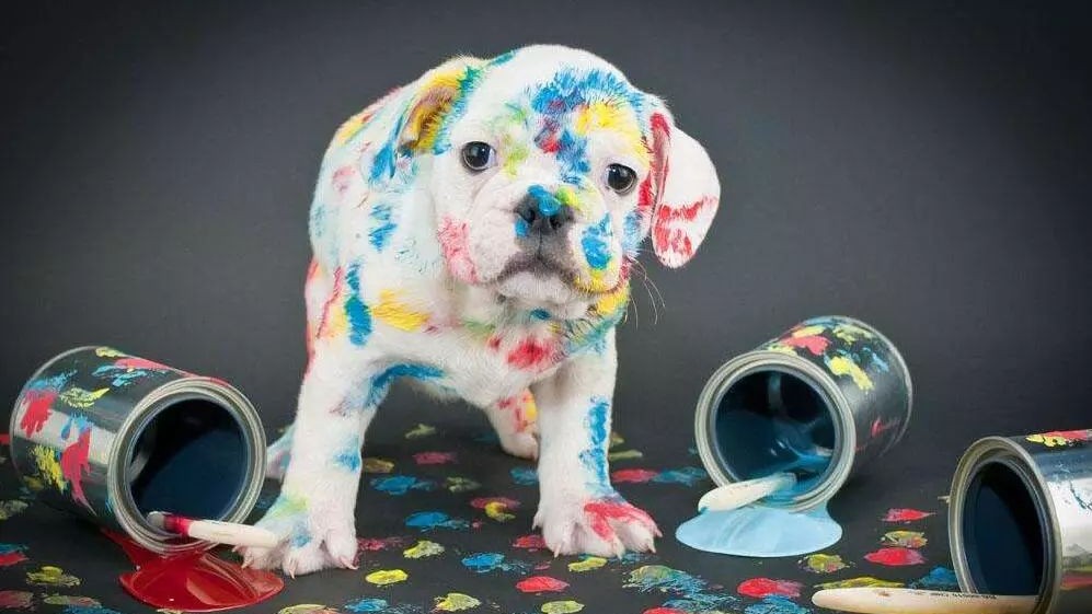 2018全球藝術(shù)設(shè)計專業(yè)高校排名50強，內(nèi)地3所院校上榜