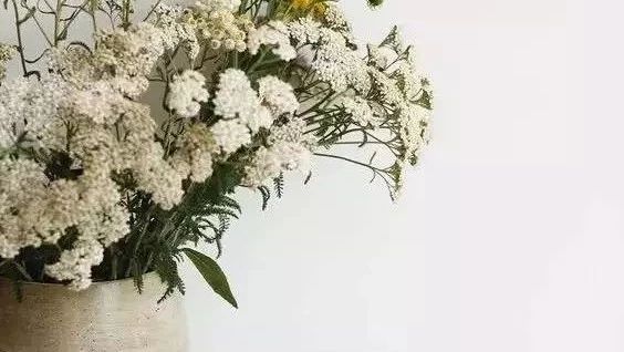 這樣插花，即使花謝了屋子依然會很美