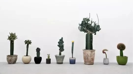 真正有靈魂的設(shè)計，靈感都是源于自然