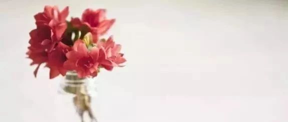 新的一年，擺上這些植物，旺家旺財又旺運