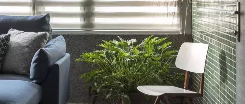 混搭風家居，一抹新綠迎春節(jié)~