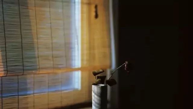 隔一席竹簾，得一份清雅~