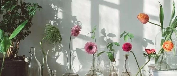 誰都能學(xué)會(huì)的家居擺設(shè)法，讓你的家從“丑到哭”到“美到爆”